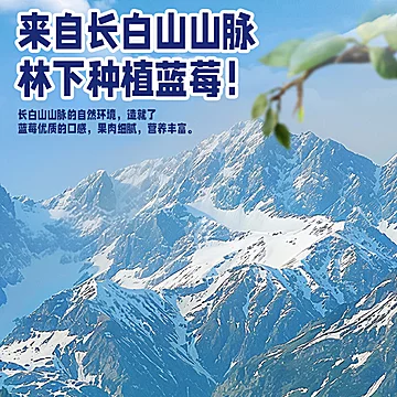 冰山誉梅！正宗长白山特产蓝莓干500g[26元优惠券]-寻折猪