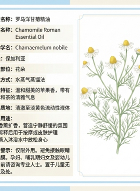 有机罗马洋甘菊单方精油保加利亞