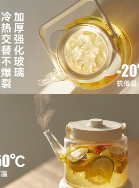 Olayks全玻璃养生电热水壶定制