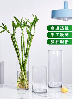 大口径宽口超大玻璃花瓶透明特大号插画富贵竹圆柱直筒高款大号