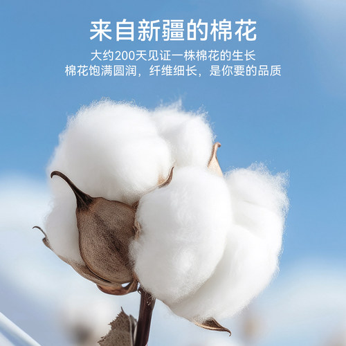 都市丽人纯棉男士三角内裤男生新款抑菌全棉裆透气大码短裤头裤衩 - 图1