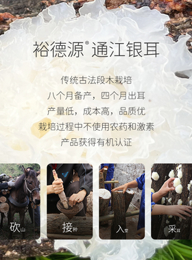 面膜精华原液组合保湿舒缓紧致