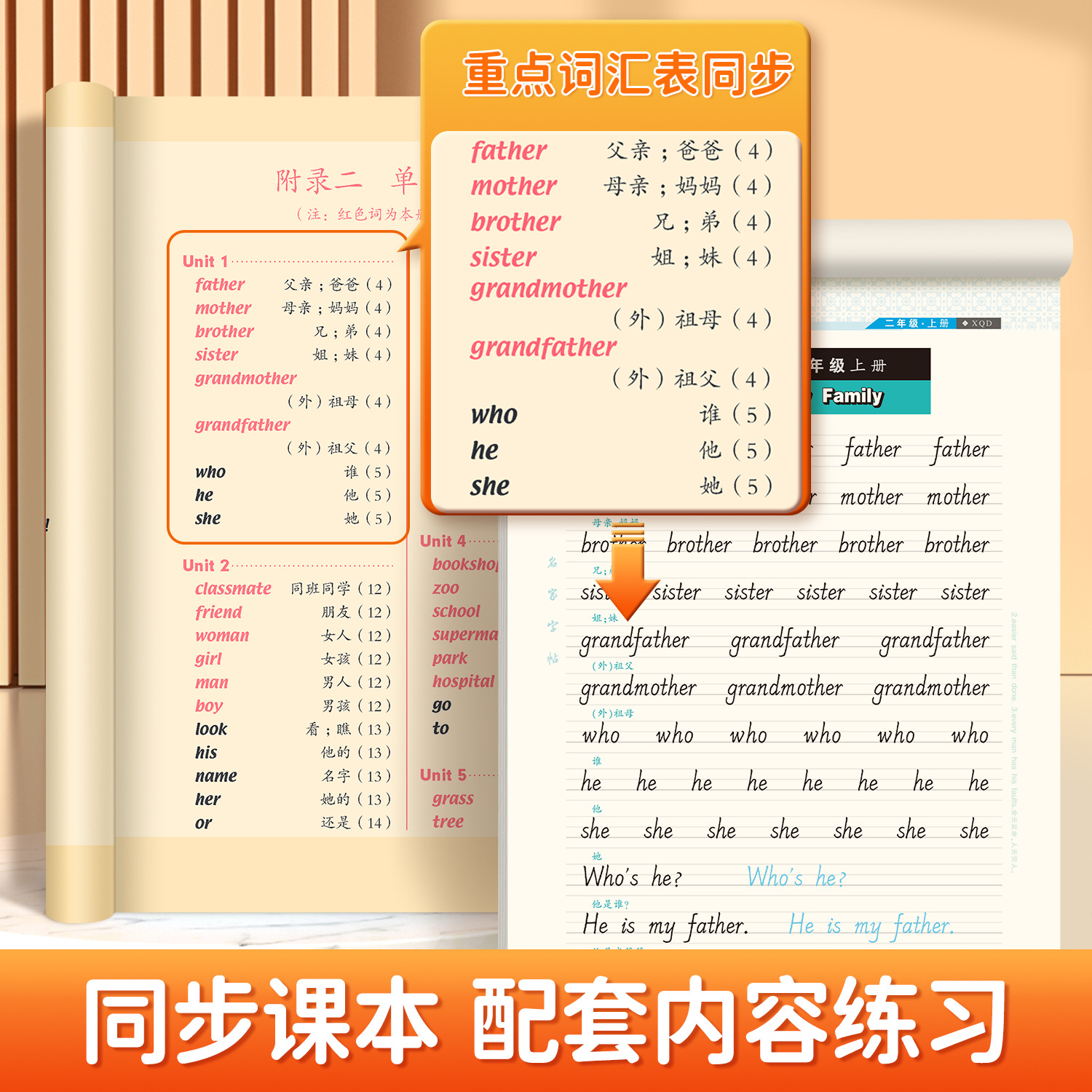 邹慕白人教新起点英语课堂一二三四五六年级上册下册国标同步字帖 - 图1