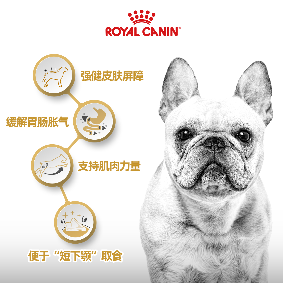 皇家狗粮法斗专用粮FBA26/3/6KG12斤成犬幼犬狗狗法国斗牛犬犬粮