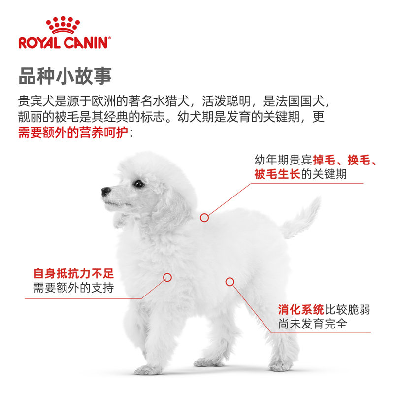 Royal Canin皇家贵宾幼犬粮APD33/3KG泰迪专用小狗狗粮小型犬幼犬 - 图0