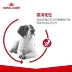 Royal dog thức ăn cho chó trung bình thức ăn cho chó trưởng thành M25 / 15kg / 4kg Husky Qi Samoy bên chăn nuôi thức ăn cho chó Keji - Chó Staples