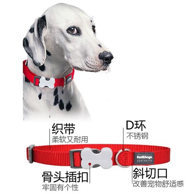 瑞鼎狗reddingo狗脖带项圈小中大狗犬用颈圈脖圈宠物可调节大小 虎窝淘