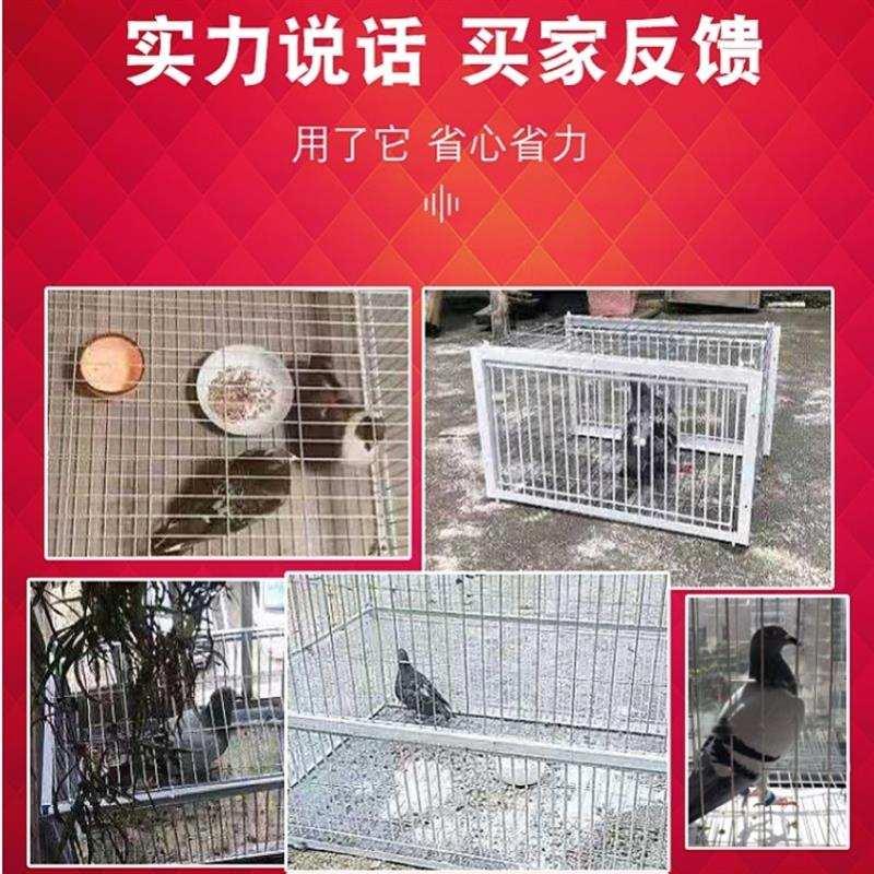 天落笼只进不出捕鸽神器户外撞门笼自动收鸽机连续抓鸽子笼四面的-图0