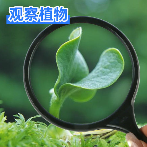 图绘通手持式放大镜高清高倍儿童学生放大镜便携式扩大镜高倍镜100mm老花眼扩大镜老人看书阅读鉴定收藏维修 - 图0