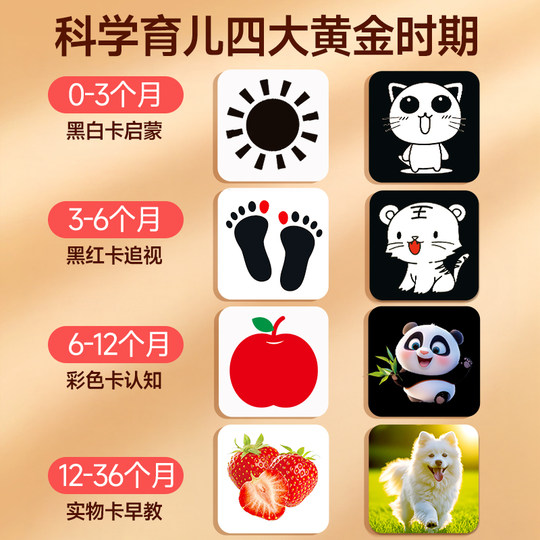 Black and white card baby early education card newborn child toys