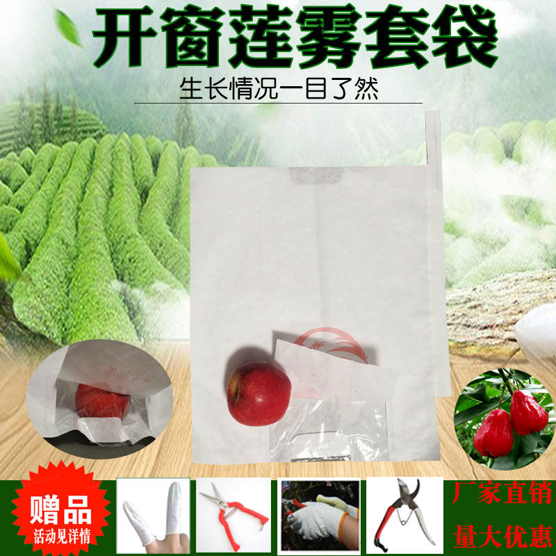 加厚莲雾套袋防虫袋莲雾袋子防虫专用释迦水果套袋专用袋释迦袋子,淘宝优惠券,粉丝福利购,淘宝优惠卷
