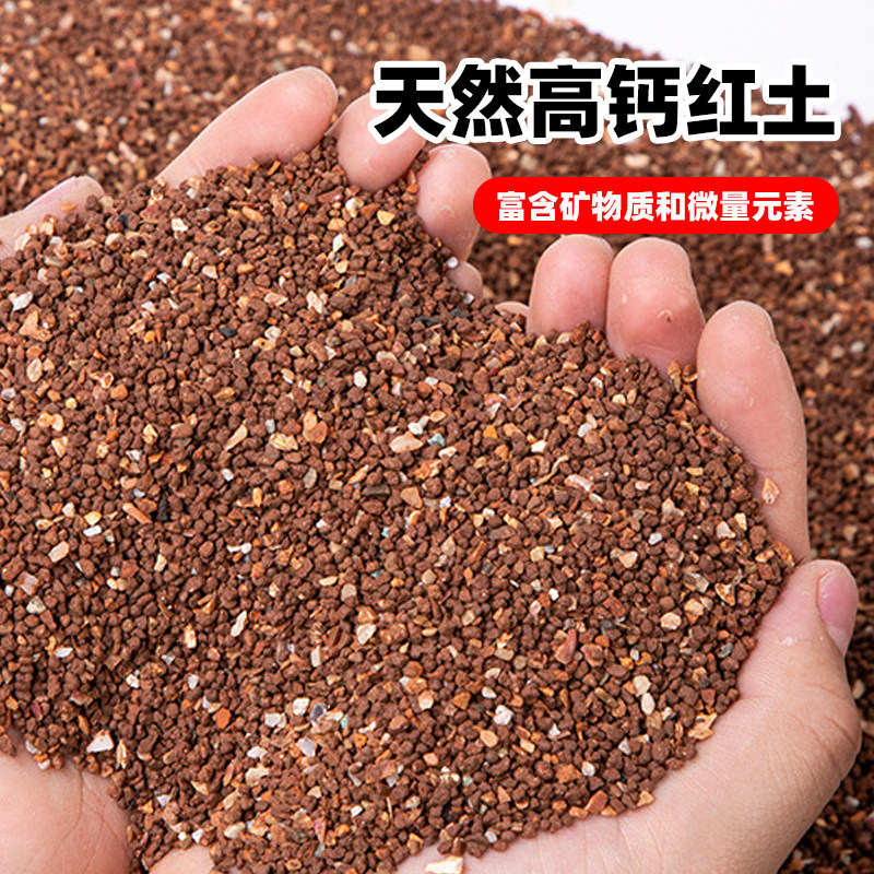 鹦鹉保健砂高钙鸟粮饲料鸟零食专用虎皮珍珠鸟用红土保健沙小颗粒,淘宝优惠券,粉丝福利购,淘宝优惠卷