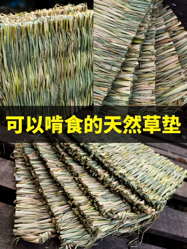 Кролик и кролик ставят голландские свинины Тоторо Голубь Голубь Голубь Голубь Клетка Подушка для кролика подушка подушка подушка