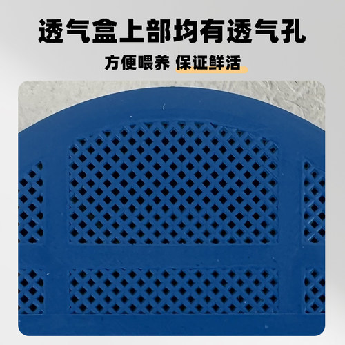 面包虫活虫黄粉虫活体仓鼠蜘蛛蝎子乌龟守宫角蛙画眉鸟食活饵饲料 - 图2