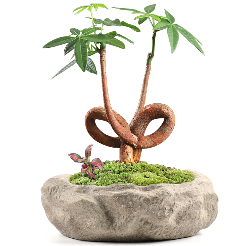 个性造景盆盆景室内园艺栀子花仿石头桌面陶瓷花盆清仓特价中国风,淘宝优惠券,粉丝福利购,淘宝优惠卷