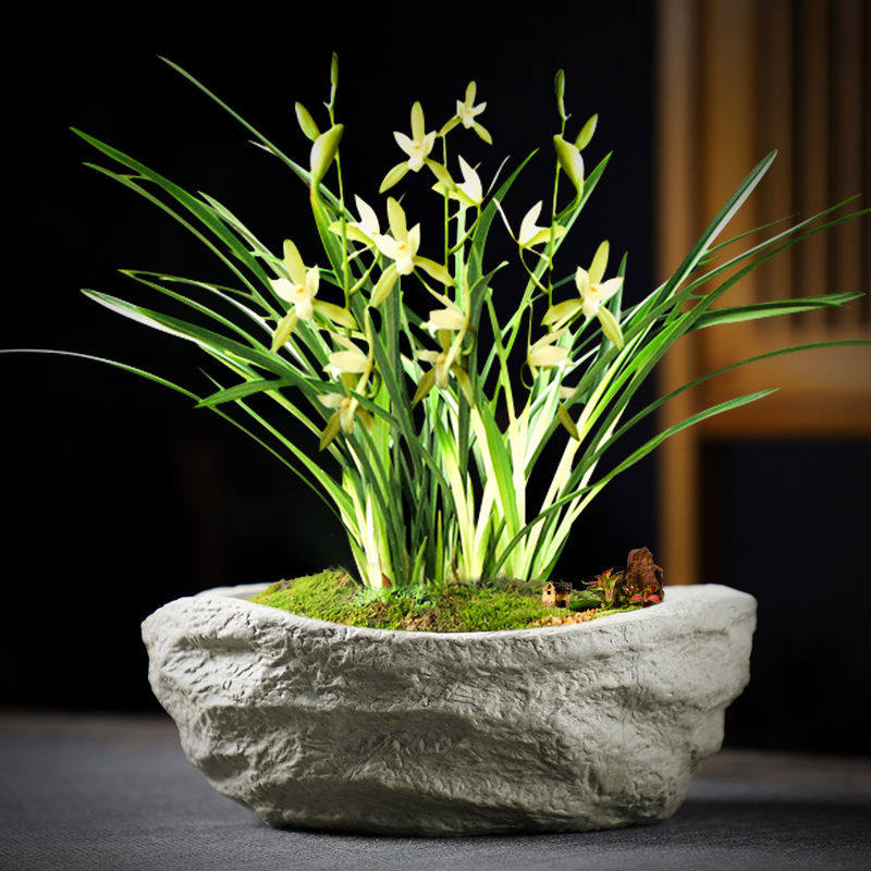 个性造景盆盆景室内园艺栀子花仿石头桌面陶瓷花盆清仓特价中国风,淘宝优惠券,粉丝福利购,淘宝优惠卷