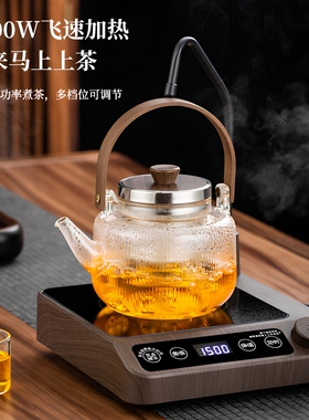 电陶炉Leemusur自动上水定时保温