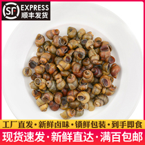 Haha Mirror Food Lock Fresh Spicy Fields Snail Snacks Night-time Snack Snack 178g Full 100