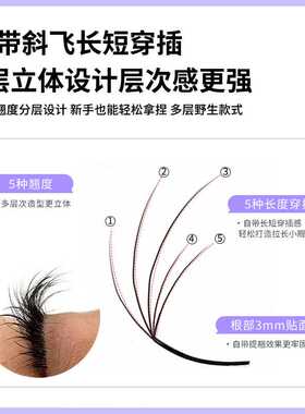 5D狐系斜飞YY睫毛 多层野生浓密款超软毛LC翘嫁接睫毛美睫店专用