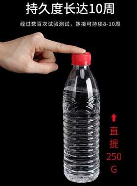 眉唇诱惑嫁接睫毛胶水正品无刺激持久美睫师专用0.3秒速干超牢固