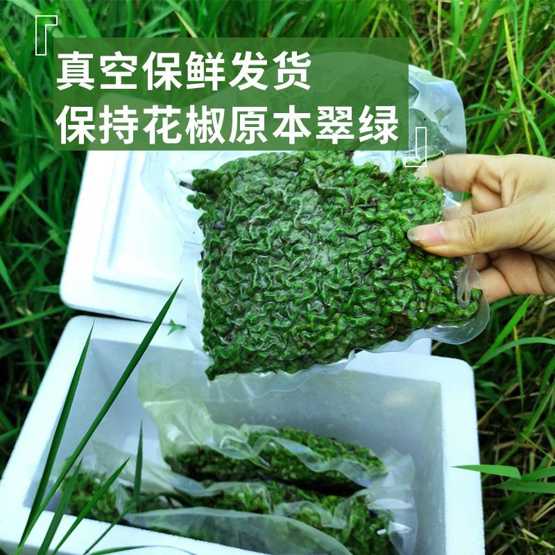 青花椒江津九叶青花椒商用批发保鲜清花椒粒四川新鲜生麻椒嫩藤椒 - 图1