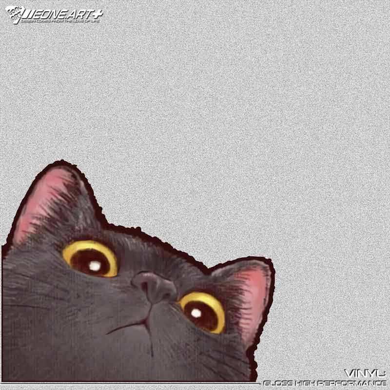 当店限定販売 Putumayo 猫耳ケープ かわいい 大幅値下げ ポンチョ