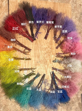 【永生梦幻草】永生花干花花材
