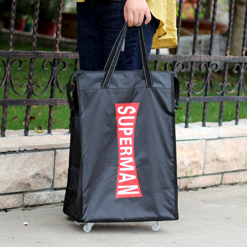 轻便购物袋拉杆手提万向轮女登机包 雷玛萨旅行袋