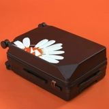 Брендовый универсальный чемодан, коробка, популярно в интернете, 20 дюймов