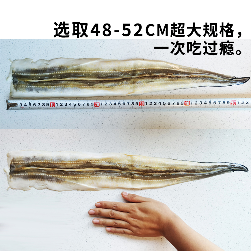 快晓鲜出口A级渤海湾超大野生海鳗鱼白烧鳗鱼210g-图1