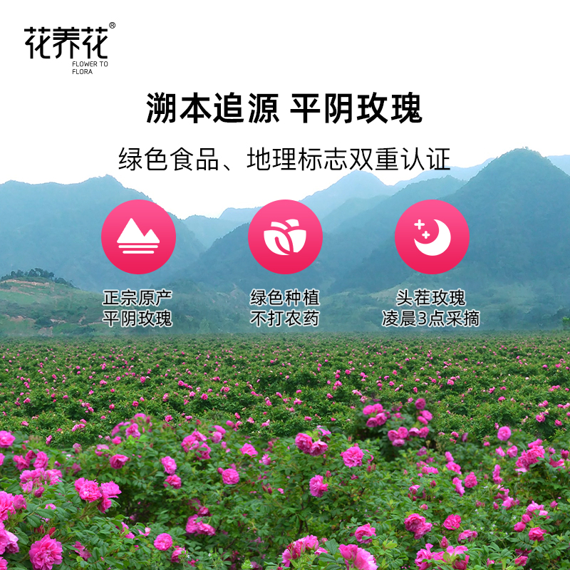花养花冻干玫瑰鲜花茶平阴重瓣红玫瑰茶非墨红玫瑰花茶礼品礼盒