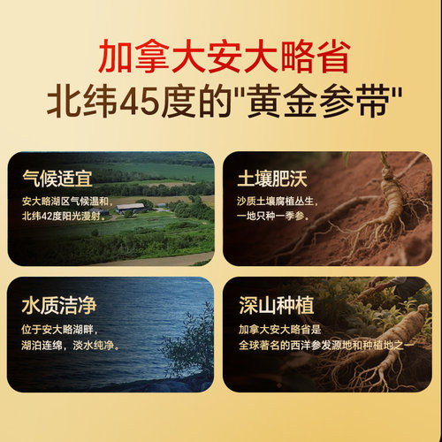 【自营】lecmor西洋参加拿大进口西洋参片粉官方正品整根切片泡水 - 图1