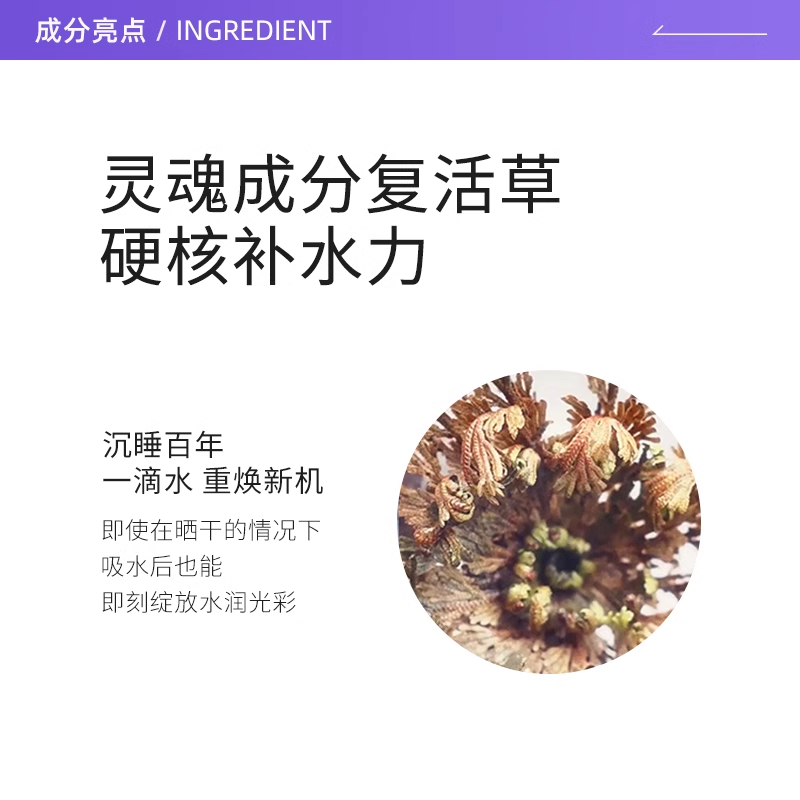 【苾莱宝】日本复活草补水保湿面膜