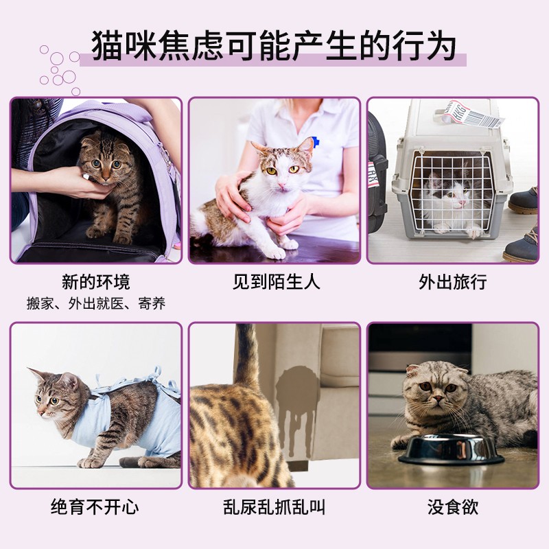 【自营】法国费利威 猫用费洛蒙 经典情绪舒缓喷雾 20ml 预防应激 - 图3