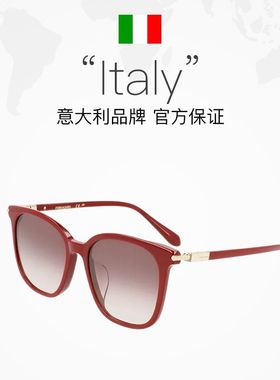 【自营】FERRAGAMO/菲拉格慕时尚墨镜潮流太阳眼镜SF1112SLB男款