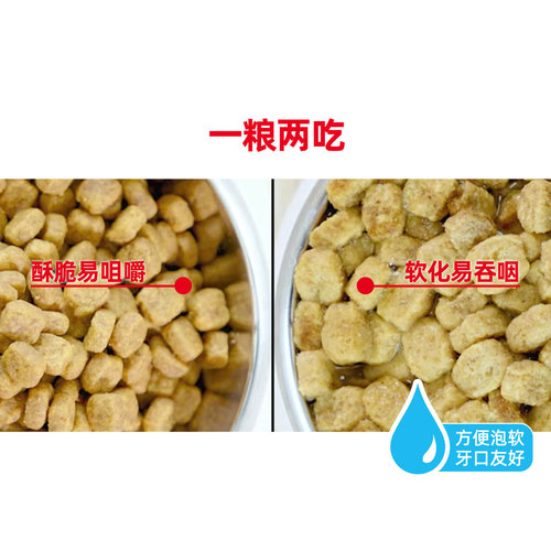 【自营】皇家狗粮贵宾成犬全价粮(8岁以上)营养专用干粮PDA26/7KG - 图1