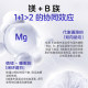 Multivitamin Magnesium B Complex ເຍຍລະມັນຫົວໃຈຄູ່