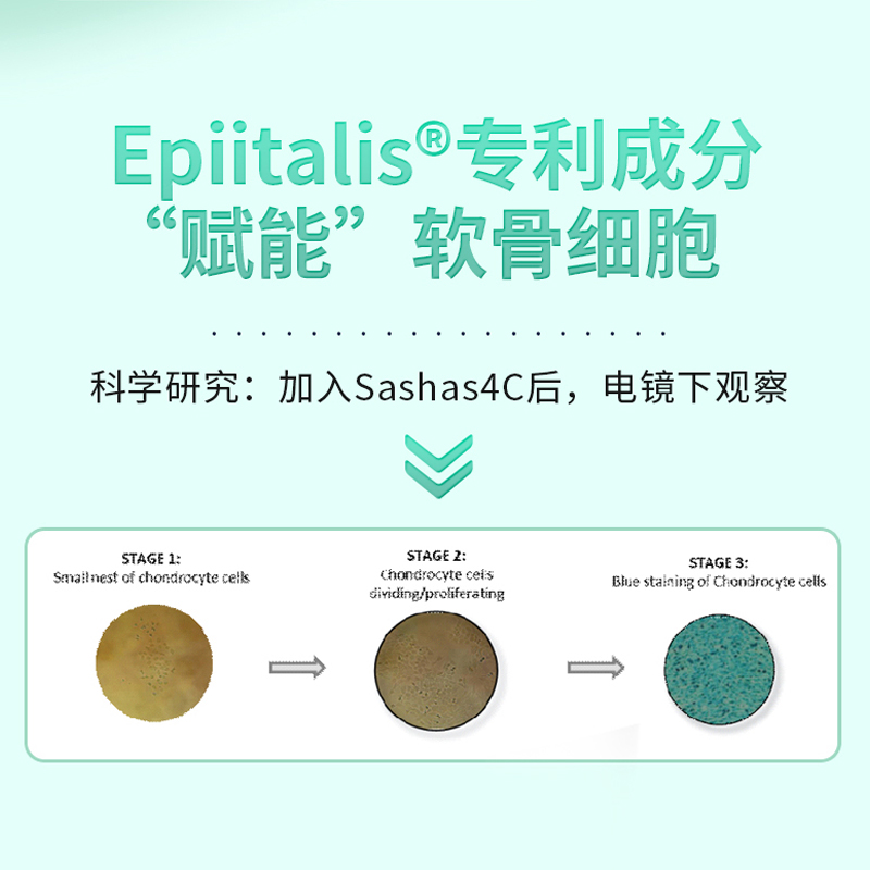 【自营】sashas萨沙4C益柏力速赛升级版狗关节软骨素保护补充剂-图1