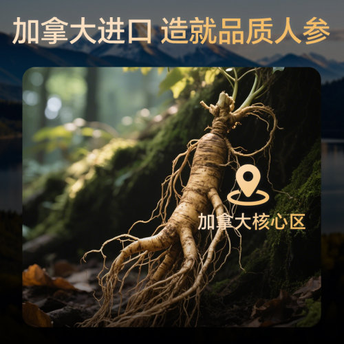 【自营】lecmor西洋参加拿大进口刨片官方正品花旗参切片泡水煲汤 - 图0