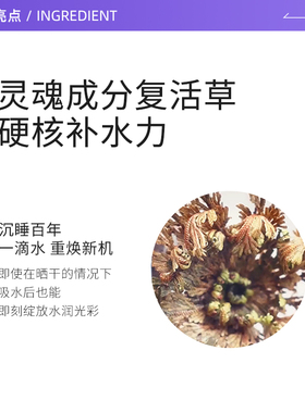 自营面膜BbLABORATORIES