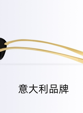 BOTTEGAVENETA葆蝶家太阳镜