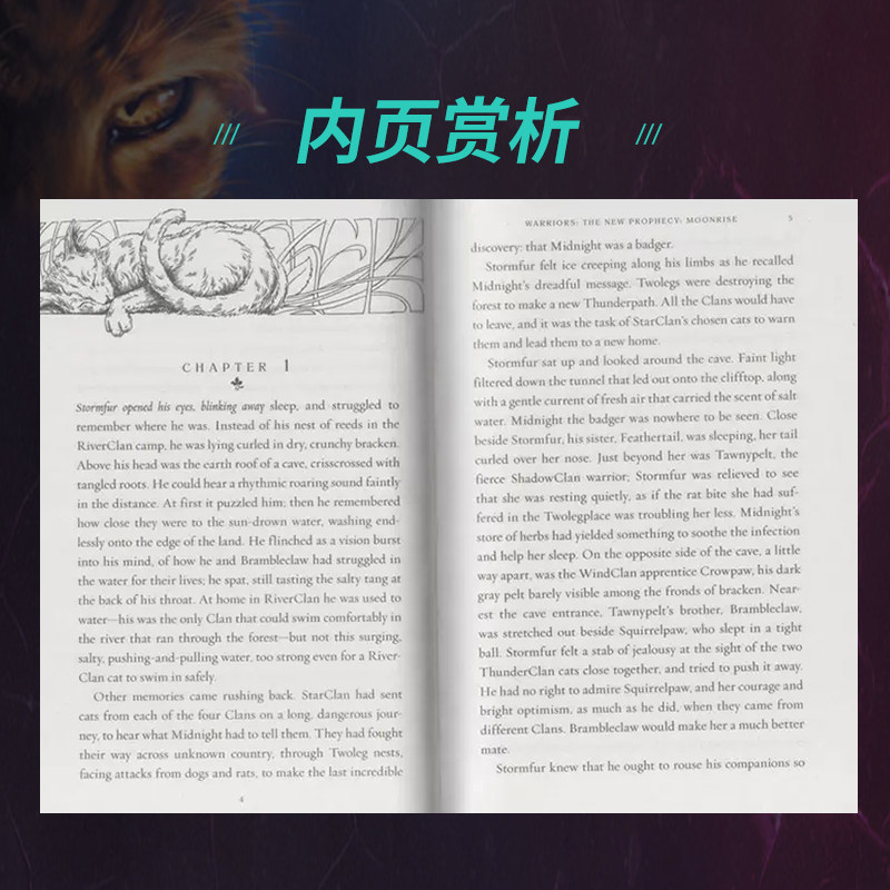 【自营】猫武士二部曲猫武士 warriors猫武士英文原版猫武士全套正版 warriors猫武士 Warriors The New ...