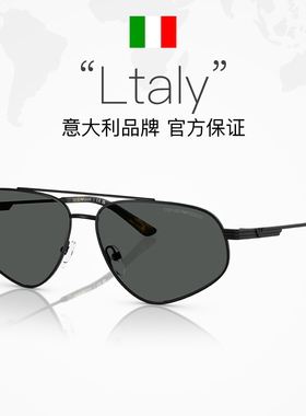 【自营】【新品推荐】阿玛尼墨镜男款太阳镜个性复古摩登0EA2156