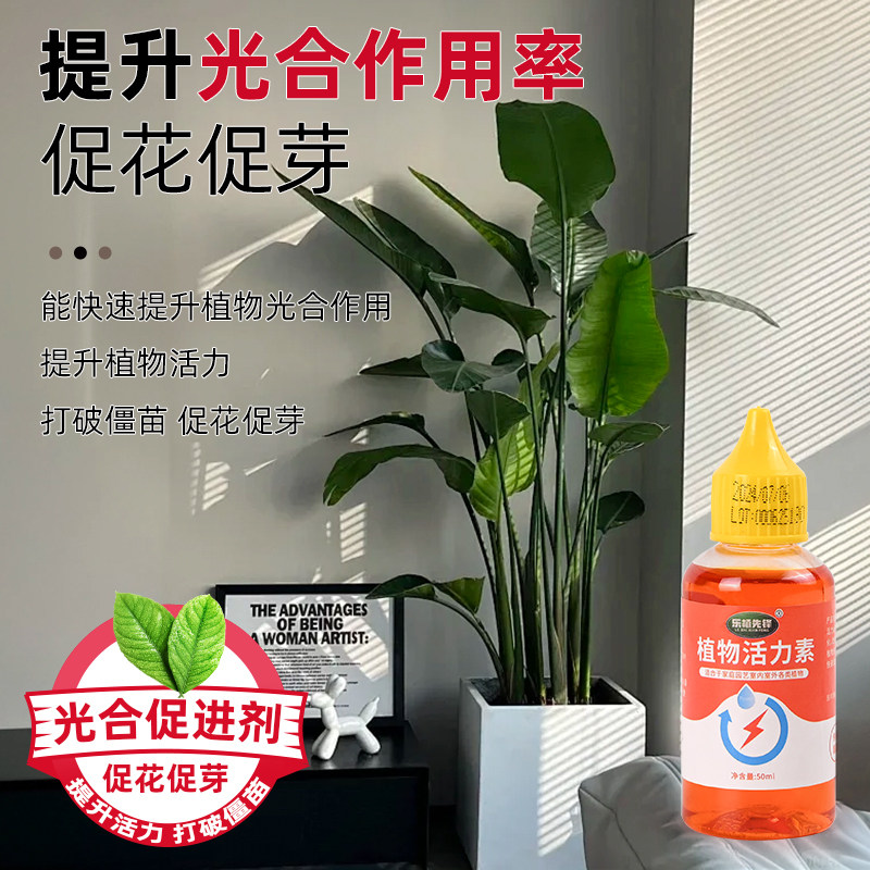 植物活力素生长花卉绿植通用养花多肉盆栽发财树绿萝爆芽营养液,淘宝优惠券,粉丝福利购,淘宝优惠卷