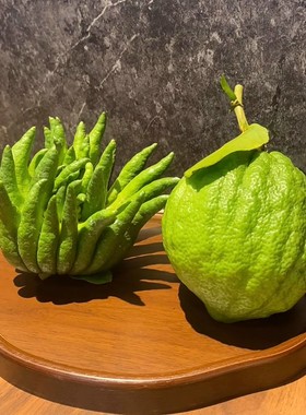 云南香橼果特产水果新鲜现摘佛手柑自种香橼闻香趣玩清供高山大果