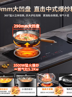 硕高大火力双灶一平一凹