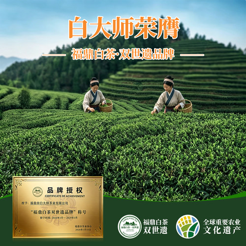 白大师正宗白茶桂花荷叶红枣玫瑰陈皮雪梨红枣姜丝寿眉茶叶品鉴 - 图3