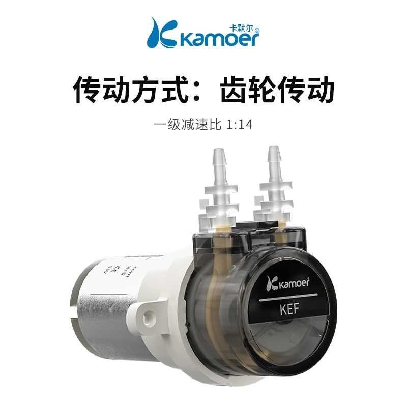 卡默尔蠕动泵12v微n型泵电动泵循环泵24伏泵头电机实验室KEF抽水,淘宝优惠券,粉丝福利购,淘宝优惠卷
