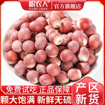 Zhaoqing Gordon Real Dry Goods 500g Special Grade Chinese Herbal Medicine Chicken Head Rice Fresh Tsick Flagship Store can be matched with medlar pachyma