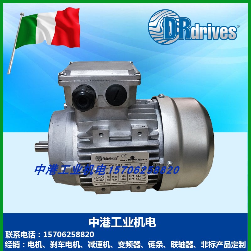 DRdrives电机TS63B4 TSO 71 80 90L 100LA4 112摩铎利132M4摩多利 - 图0